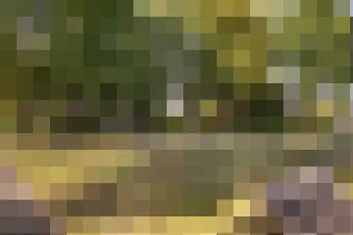 Spiegheldreef 19 Leiderdorp thumbnail 31