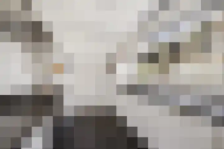 Spiegheldreef 19 Leiderdorp thumbnail 8