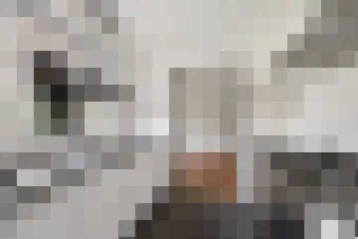 Spiegheldreef 19 Leiderdorp thumbnail 9