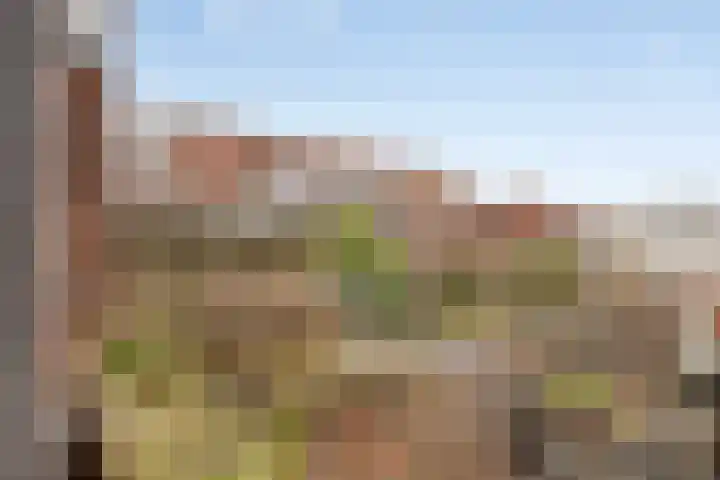Spieghelstraat 4 Leiden thumbnail 38