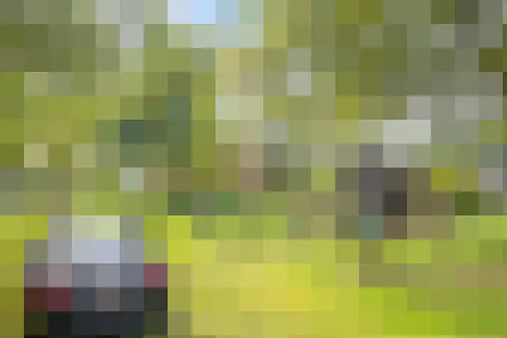 Spiekerdijk 6 Aalten thumbnail 12