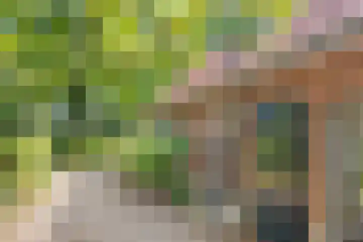 Spiekerdijk 6 Aalten thumbnail 15