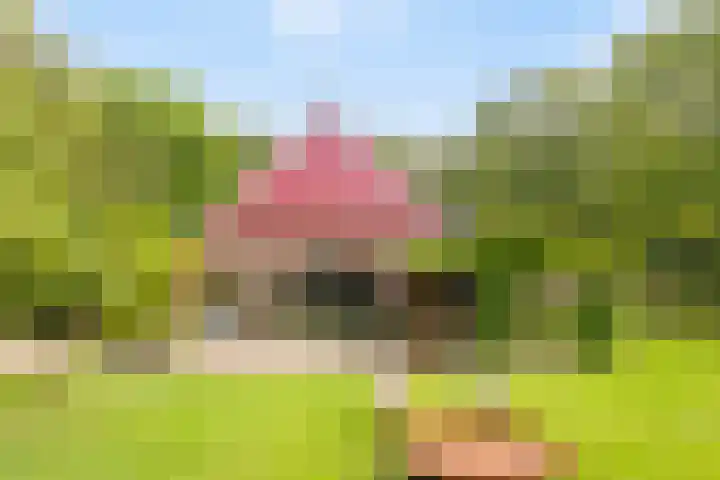 Spiekerdijk 6 Aalten thumbnail 19
