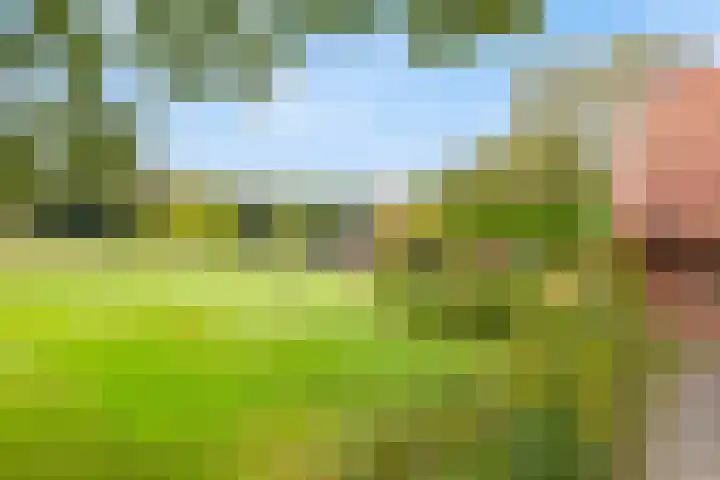 Spiekerdijk 6 Aalten thumbnail 21