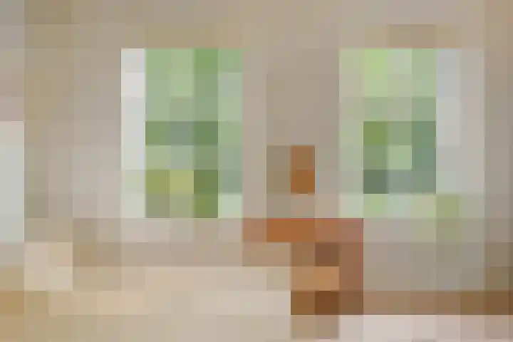 Spiekerdijk 6 Aalten thumbnail 48