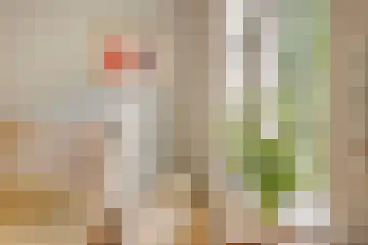 Spiekerdijk 6 Aalten thumbnail 50
