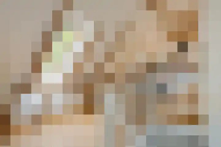 Spiekerdijk 6 Aalten thumbnail 52