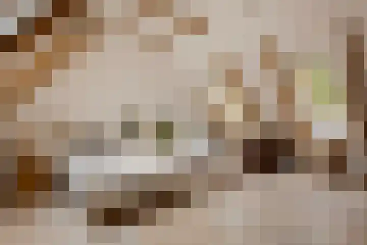 Spiekerdijk 6 Aalten thumbnail 55