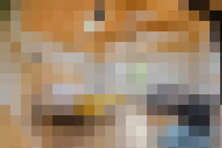 Spiekerdijk 6 Aalten thumbnail 58