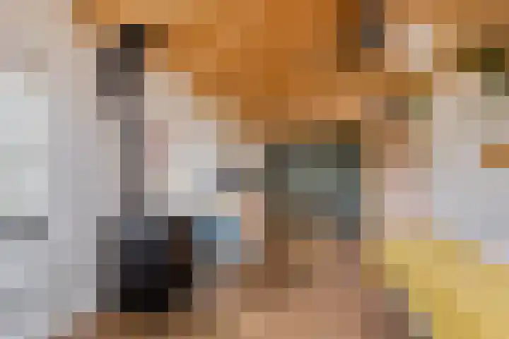 Spiekerdijk 6 Aalten thumbnail 59
