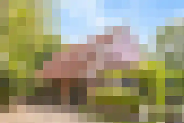 Spiekerdijk 6 Aalten thumbnail 6
