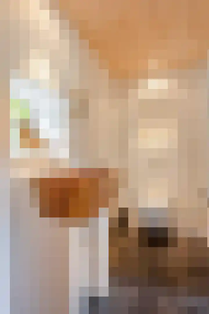 Spiekerdijk 6 Aalten thumbnail 62
