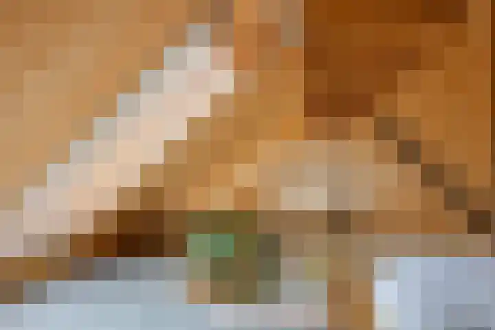 Spiekerdijk 6 Aalten thumbnail 63
