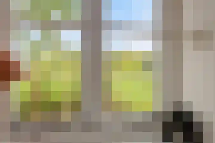 Spiekerdijk 6 Aalten thumbnail 64