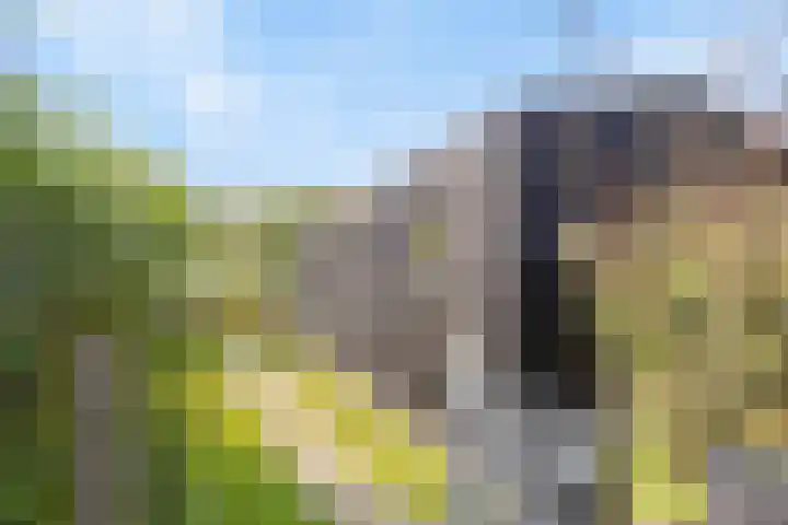 Spiekerdijk 6 Aalten thumbnail 65