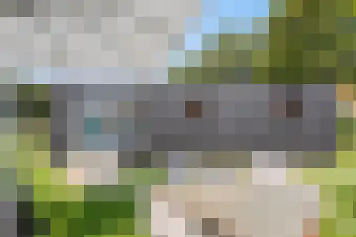 Spiekerdijk 6 Aalten thumbnail 66