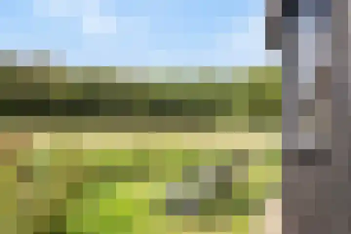 Spiekerdijk 6 Aalten thumbnail 67