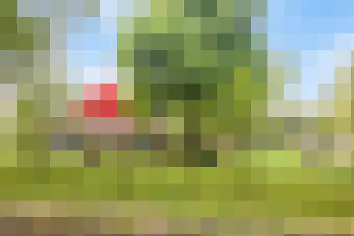 Spiekerdijk 6 Aalten thumbnail 7