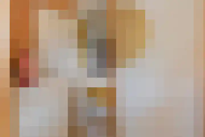 Spiekerdijk 6 Aalten thumbnail 70