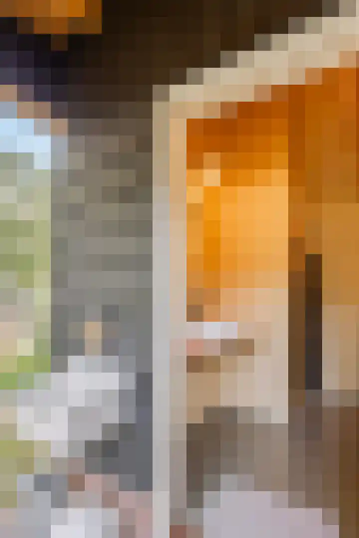 Spiekerdijk 6 Aalten thumbnail 72