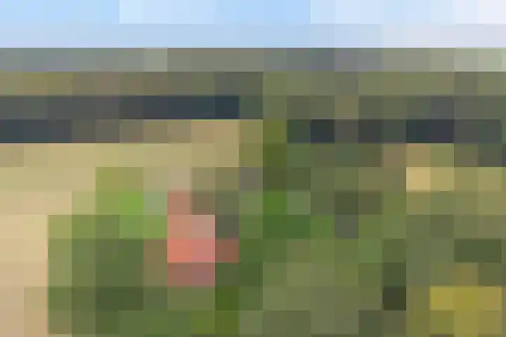 Spiekerdijk 6 Aalten thumbnail 75