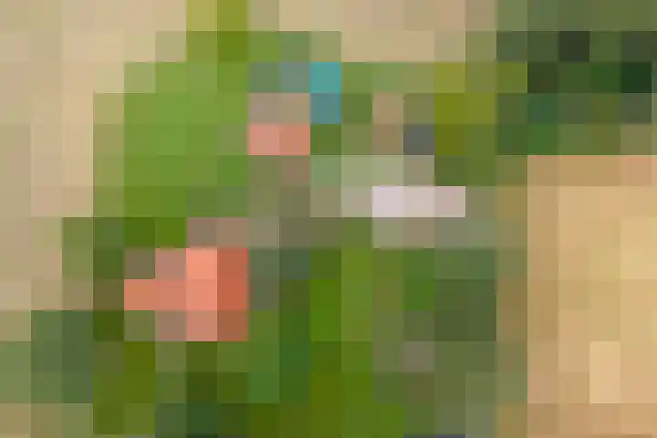 Spiekerdijk 6 Aalten thumbnail 77