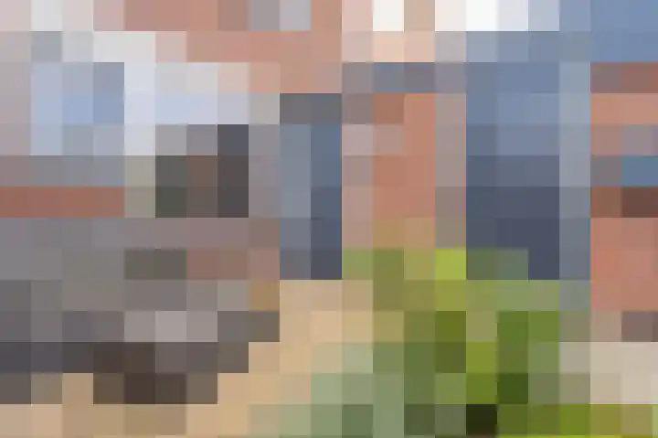 Spiering 8 Hellevoetsluis thumbnail 12