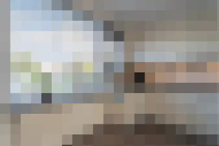 Spiering 8 Hellevoetsluis thumbnail 18