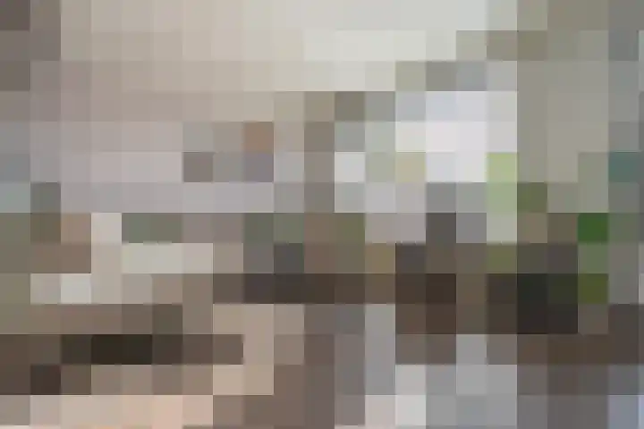 Spiering 8 Hellevoetsluis thumbnail 22