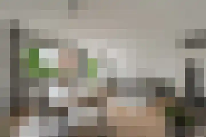 Spiering 8 Hellevoetsluis thumbnail 26