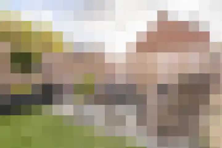 Spiering 8 Hellevoetsluis thumbnail 28
