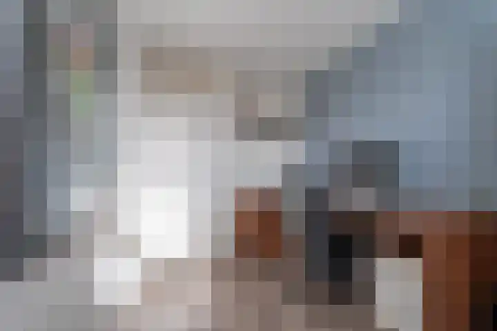 Spiering 8 Hellevoetsluis thumbnail 34