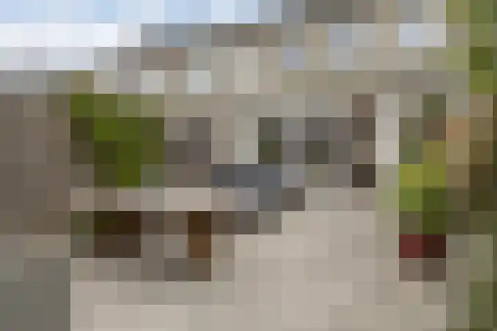 Spiering 8 Hellevoetsluis thumbnail 45