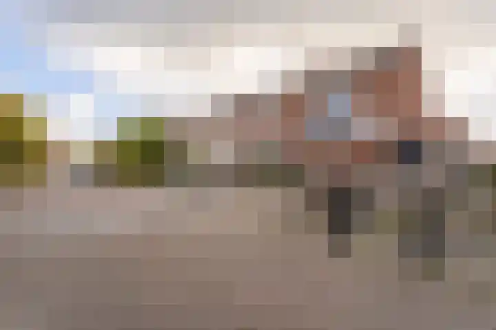 Spiering 8 Hellevoetsluis thumbnail 8