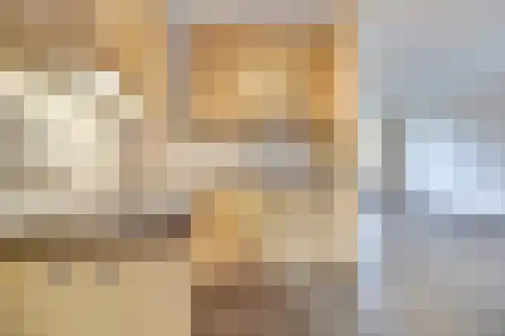 Spieveld 28 Bladel thumbnail 11
