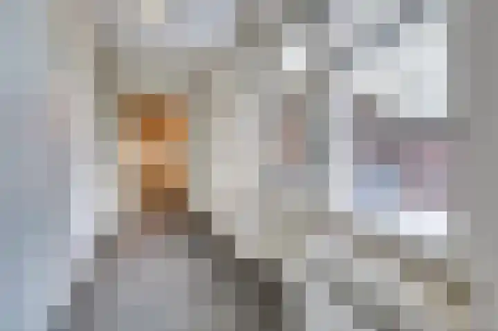 Spieveld 28 Bladel thumbnail 12