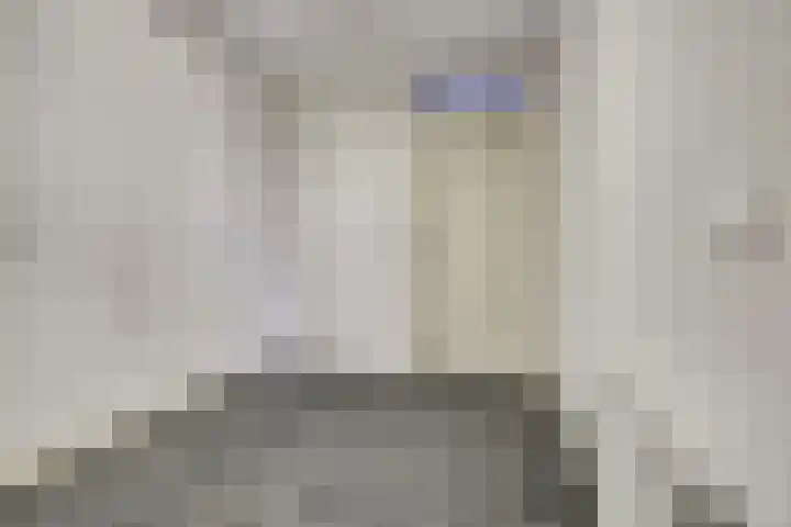 Spieveld 28 Bladel thumbnail 13