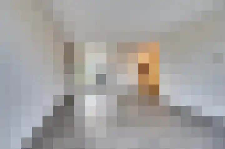 Spieveld 28 Bladel thumbnail 8