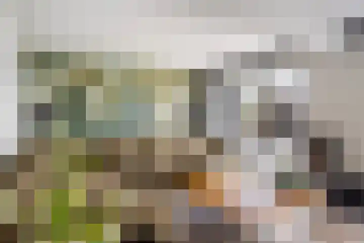 Spijkerboor 71 Sneek thumbnail 10