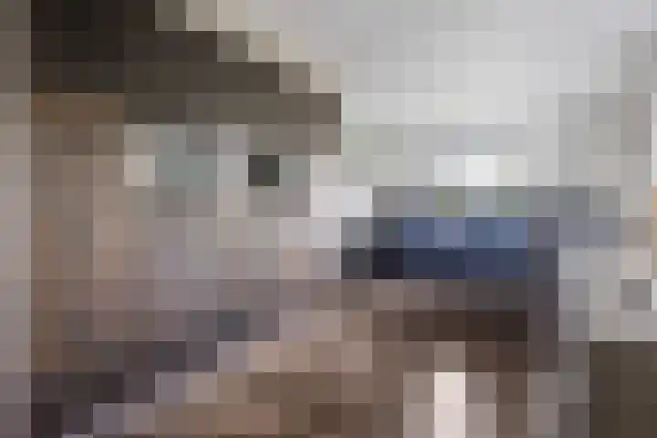 Spijkerboor 71 Sneek thumbnail 14