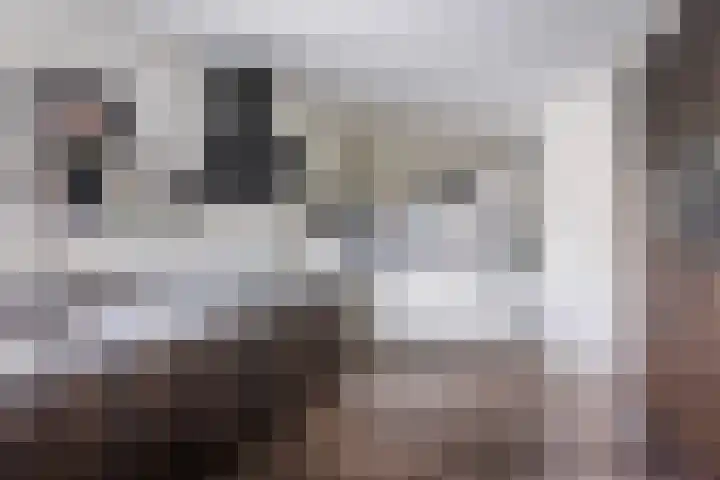 Spijkerboor 71 Sneek thumbnail 18