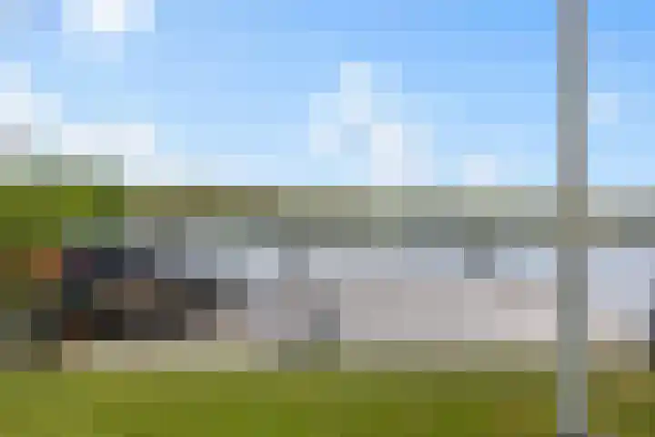 Spijkerboor 71 Sneek thumbnail 25