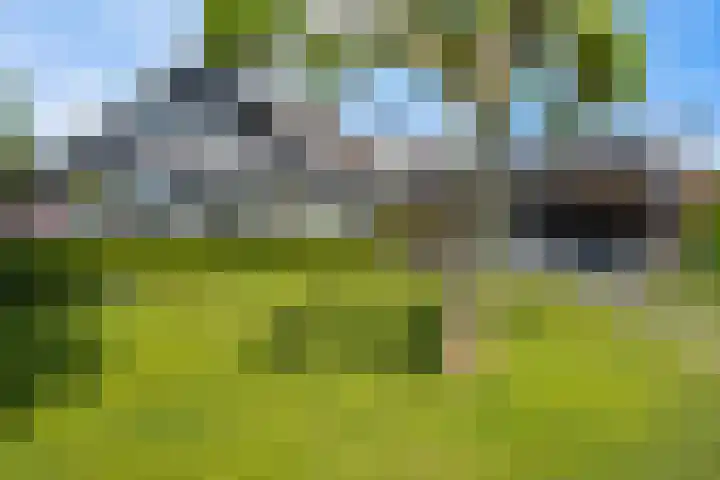 Spijkerboor 71 Sneek thumbnail 30