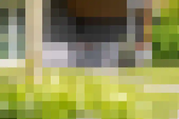 Spijkerboor 71 Sneek thumbnail 31