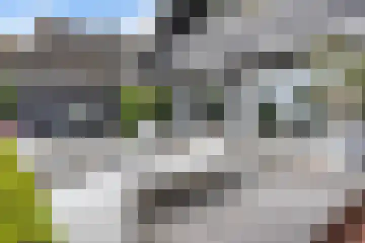 Spijkerboor 71 Sneek thumbnail 35