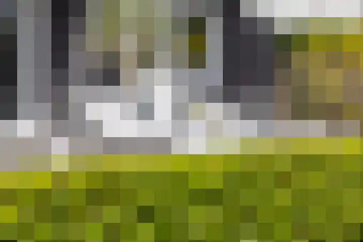 Spijkerboor 71 Sneek thumbnail 37