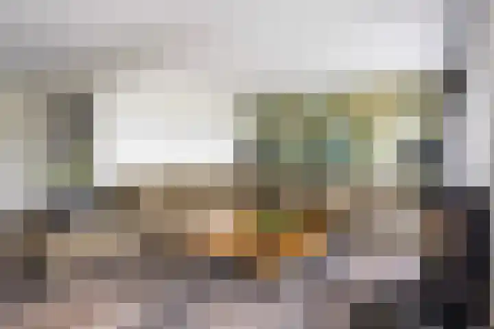Spijkerboor 71 Sneek thumbnail 4
