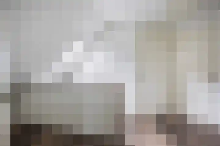 Spijkerboor 71 Sneek thumbnail 42