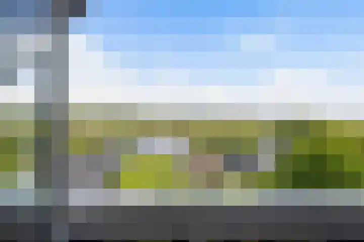Spijkerboor 71 Sneek thumbnail 47