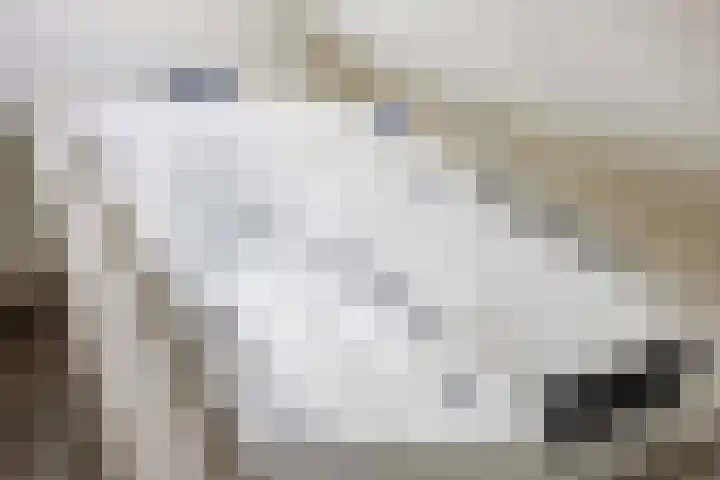 Spijkerboor 71 Sneek thumbnail 57